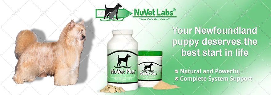 nuvet labs dogs cats vitamins supplements header